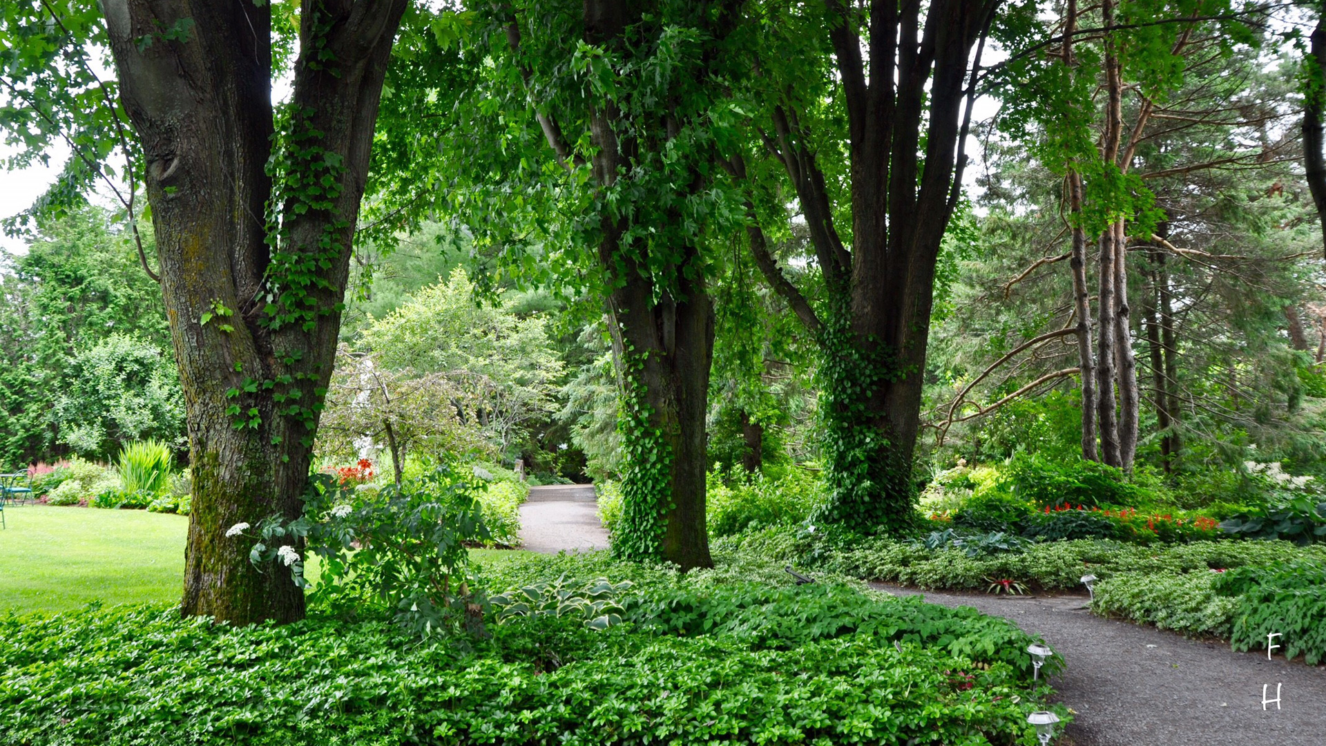 L'arbre et son jardin