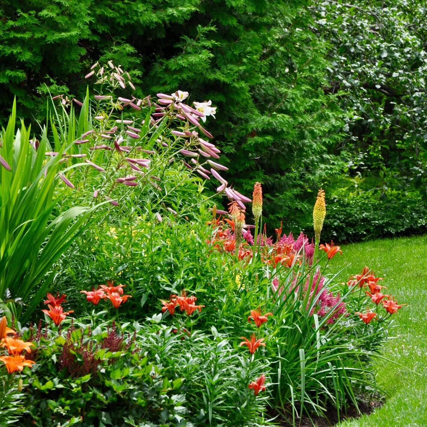 Le jardin anglais